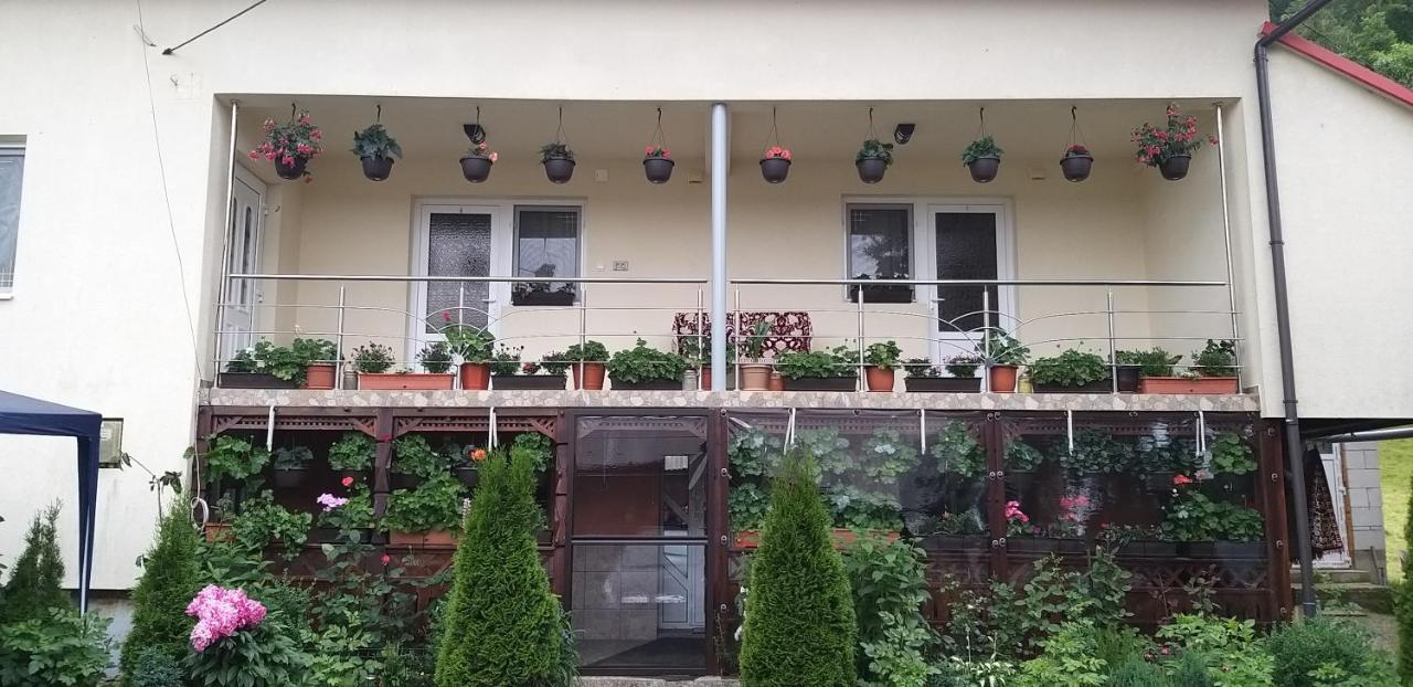 Willa Casa Cosmina Arieşeni Zewnętrze zdjęcie