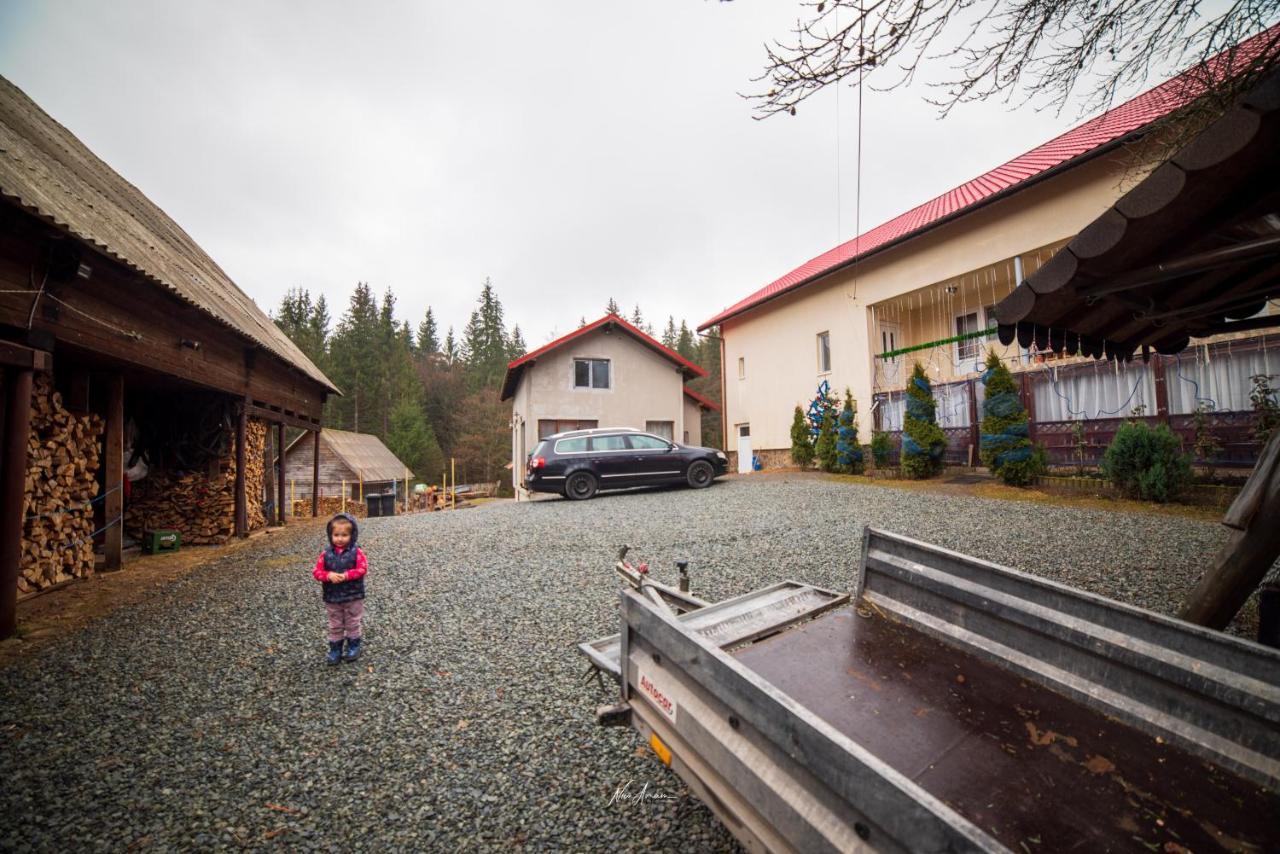 Willa Casa Cosmina Arieşeni Zewnętrze zdjęcie