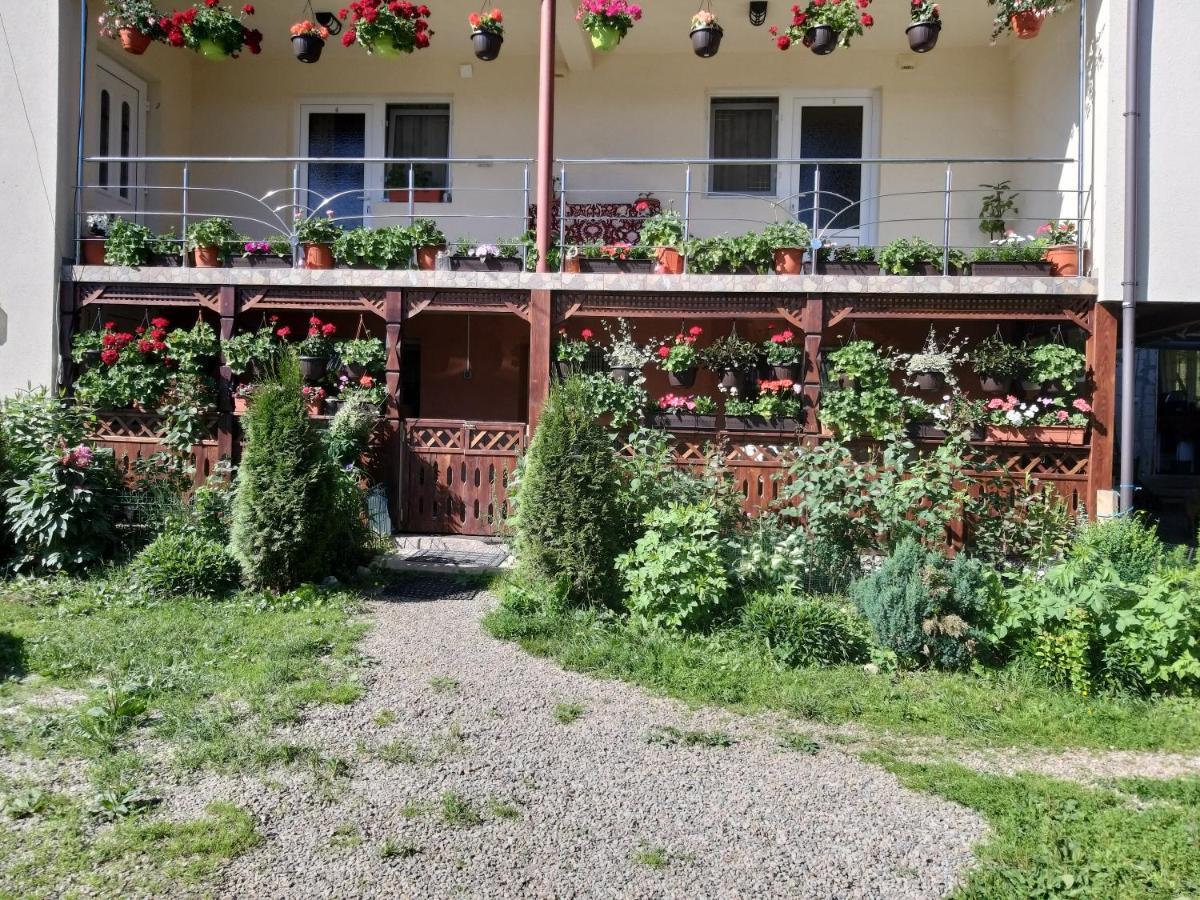 Willa Casa Cosmina Arieşeni Zewnętrze zdjęcie